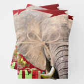 Feuille De Papier Cadeau Voeux de Noël éléphant (En situation)