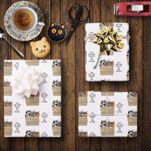 Feuille De Papier Cadeau Votre trousse d'entrée Lady Cat