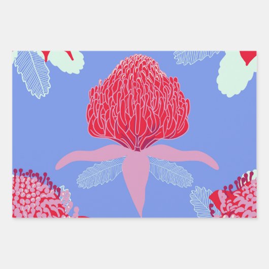 Feuille De Papier Cadeau Waratah (Devant 2)