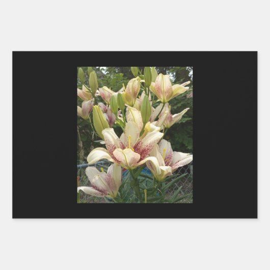 Feuille De Papier Cadeau White Day (Devant 2)