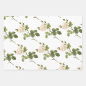 Feuille De Papier Cadeau White Rose Pattern (Devant)
