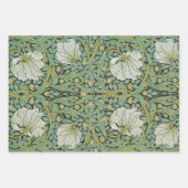 Feuille De Papier Cadeau William Morris - Pimpernel (Devant 3)