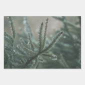Feuille De Papier Cadeau Winter nature, set of 3 different art photos (Devant)
