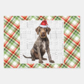 Feuille De Papier Cadeau Wirehaired Pointer Christmas Dog Red Green Plaid (Devant)