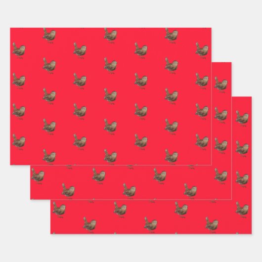 Feuille De Papier Cadeau Wren Bird Chantant Vivid Rouge (Lot)