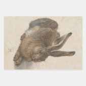 Feuille De Papier Cadeau Young Hare by Albrecht Durer, Renaissance Fine Art (Devant 3)