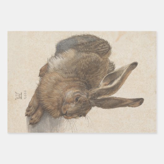 Feuille De Papier Cadeau Young Hare by Albrecht Durer, Renaissance Fine Art (Devant 2)