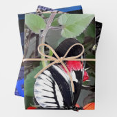 Feuille De Papier Cadeau Zebra tail butterfly (En situation)