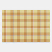 Feuille De Papier Cadeau Zombie and Copper Plaid Tan Beige (Devant 2)