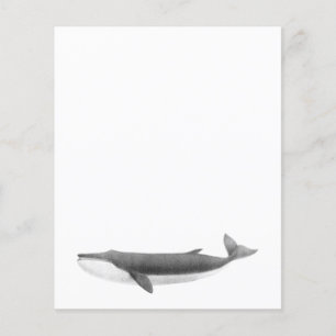 FEUILLE DE PAPIER DE BALEINE