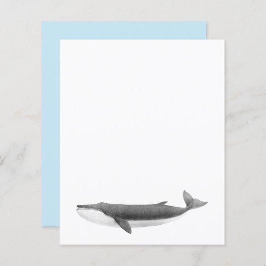 FEUILLE DE PAPIER DE BALEINE (Devant / Derrière)