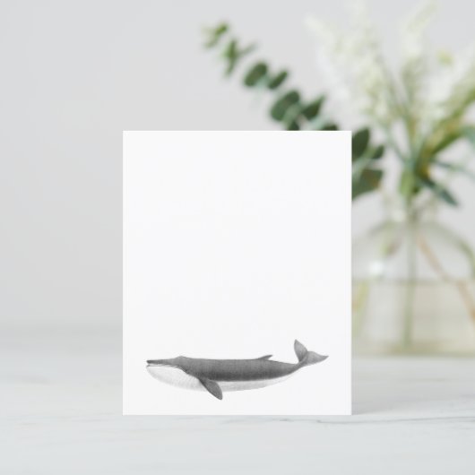 FEUILLE DE PAPIER DE BALEINE (Debout devant)