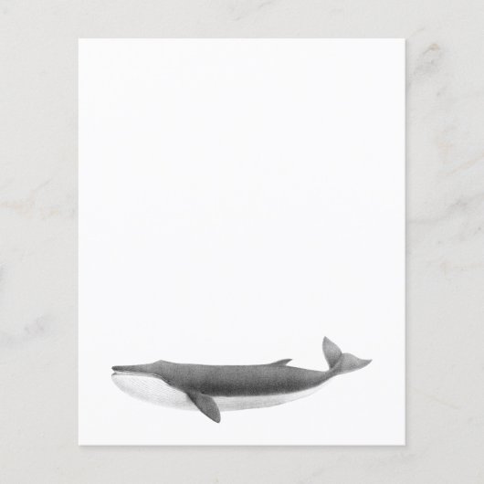 FEUILLE DE PAPIER DE BALEINE (Devant)