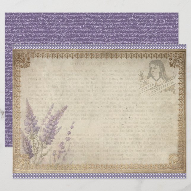 Feuille de papier de journal lavande vintage (Devant / Derrière)