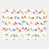 Feuille de papier d'enveloppement cadeau d'oiseaux (Devant)