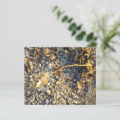 Feuille de papier d'impression d'automne (Debout devant)