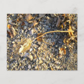 Feuille de papier d'impression d'automne (Devant)