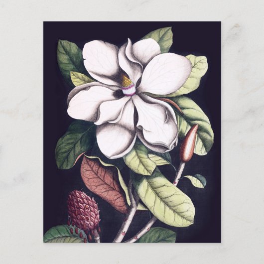 Feuille de papier Merci à fleurs Magnolia (Devant)