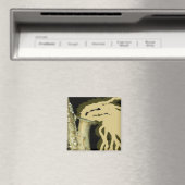 Feuille de son, aimant (In Situ (Lave-vaisselle))