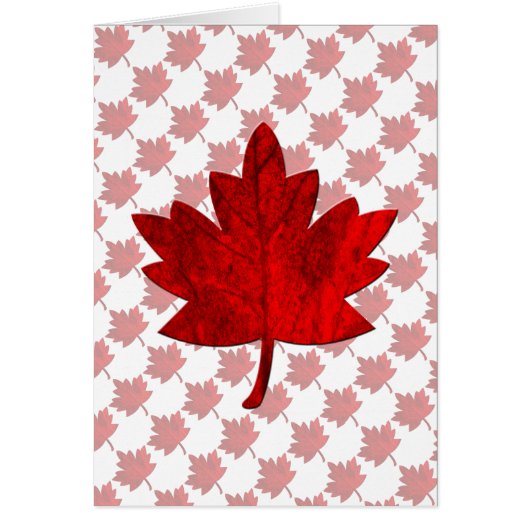 Feuille d'érable du Canada par Shirley Taylor (Devant)