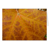 Feuille d'érable jaune Automne Abstraite Nature (Devant horizontal)