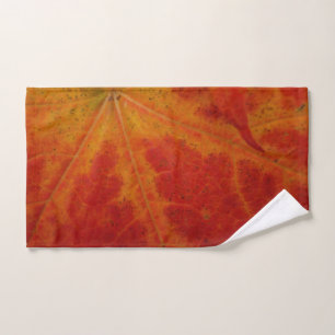 Feuille d'érable rouge Abstraite Automne Photograp