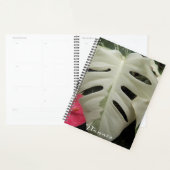 Feuille Florale de Monstera panachée (Devant avec enveloppe)