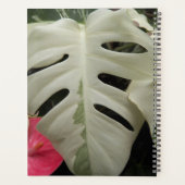 Feuille Florale de Monstera panachée (Dos)