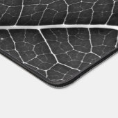 Feuille lumineuse noir et blanc en gros plan (Coin)