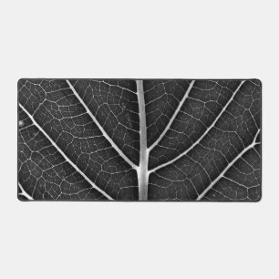 Feuille lumineuse noir et blanc en gros plan