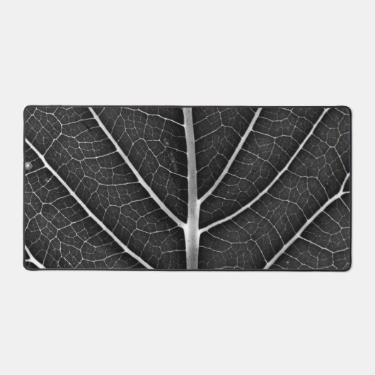 Feuille lumineuse noir et blanc en gros plan (Recto)