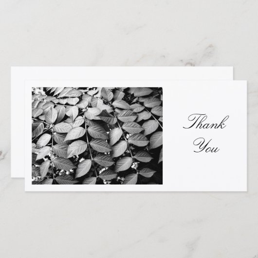 FEUILLE - MERCI (Devant / Derrière)