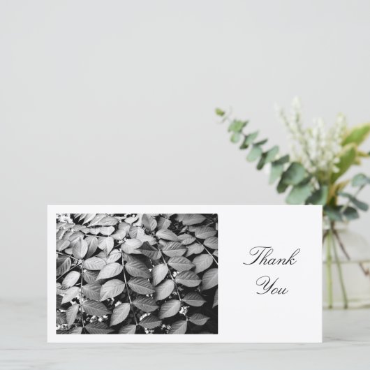 FEUILLE - MERCI (Debout devant)