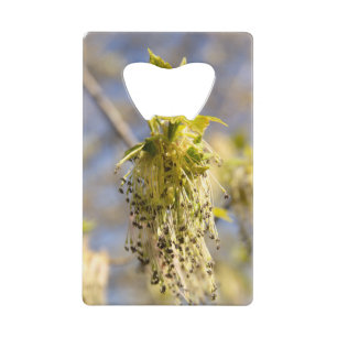 Feuille mignons en photo de printemps