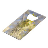 Feuille mignons en photo de printemps (Dos Angle)