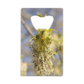 Feuille mignons en photo de printemps (Dos)