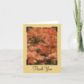 Feuille Orange D'automne Merci (Devant)