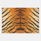 Feuille papier papier papier papier papier poster  (Devant)