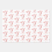 Feuille plate suisse d'emballage d'inspiration sui (Devant 3)