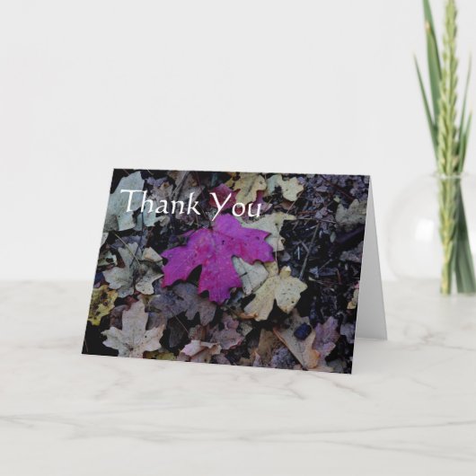 Feuille rose, merci (Devant)
