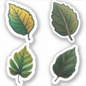 "feuille sticker png" "feuille sticker" "feuille s (Devant)