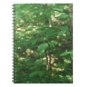 "Feuille sur un arbre…" Carnet de photographie d