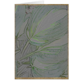 Feuille varié de hosta