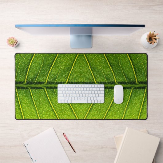 Feuille verte (Bureau 1)