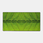 Feuille verte (Recto)