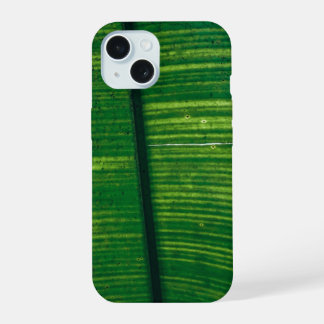 Feuille verte avec détails du Costa Rica
