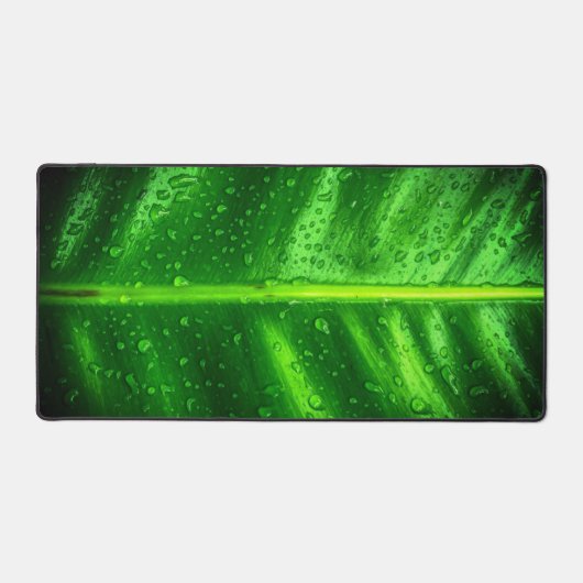 Feuille verte avec gouttes de pluie (Recto)