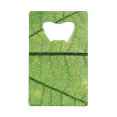 Feuille verte extrême (Devant)