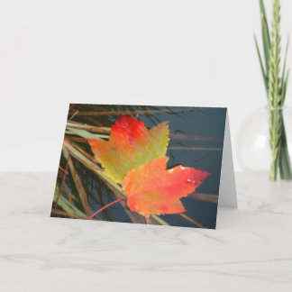 Feuilles automnales - carte