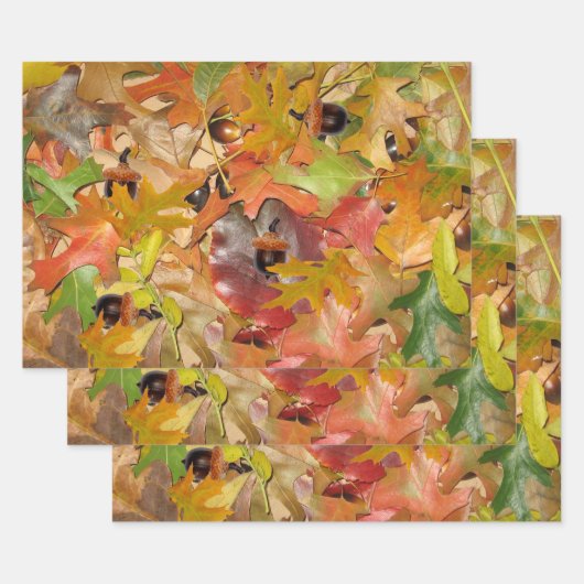 Feuilles automnales et Acorns (Lot)